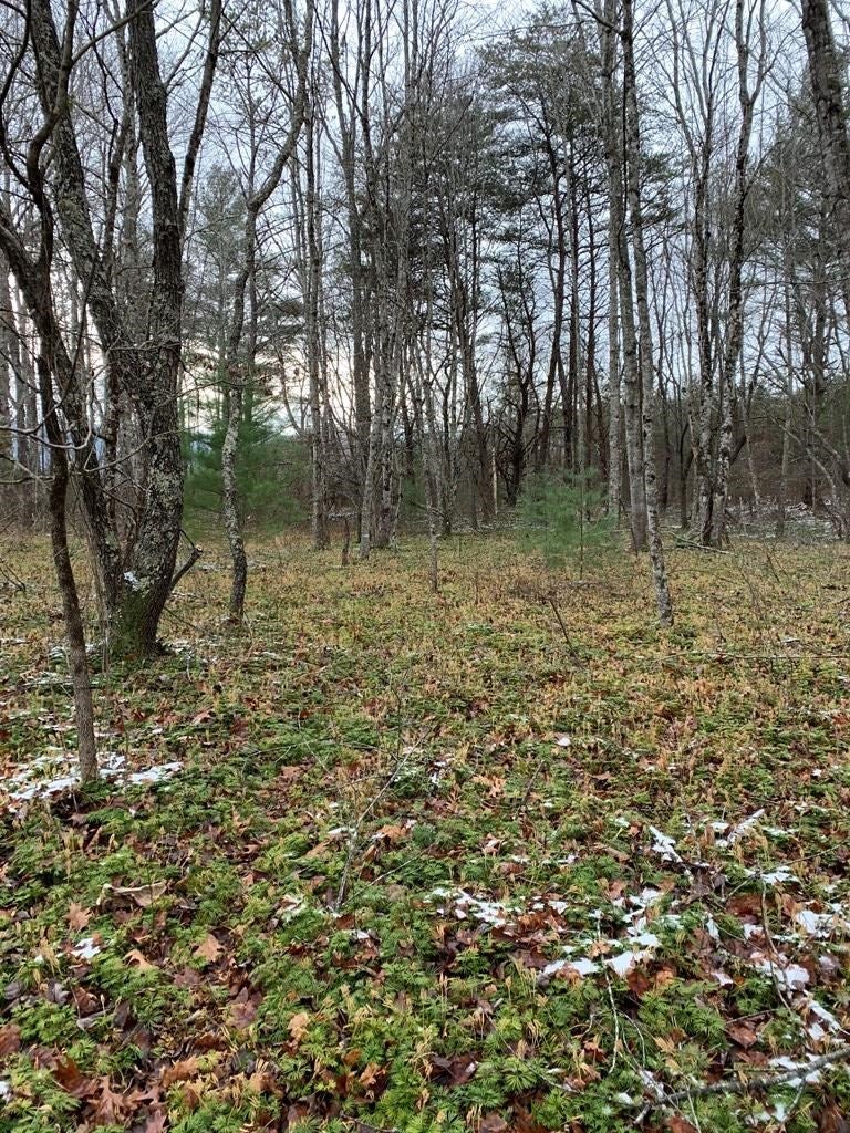 Tbd Tbd Grapefield Road Bastian, VA 24314 - Photo 15 of 39 Gallery Image 15
