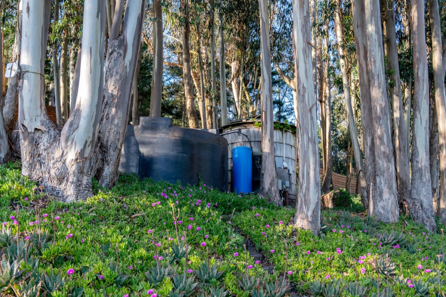2570 Purisima Creek Road Half Moon Bay, CA 94019 - Photo 74 of 85