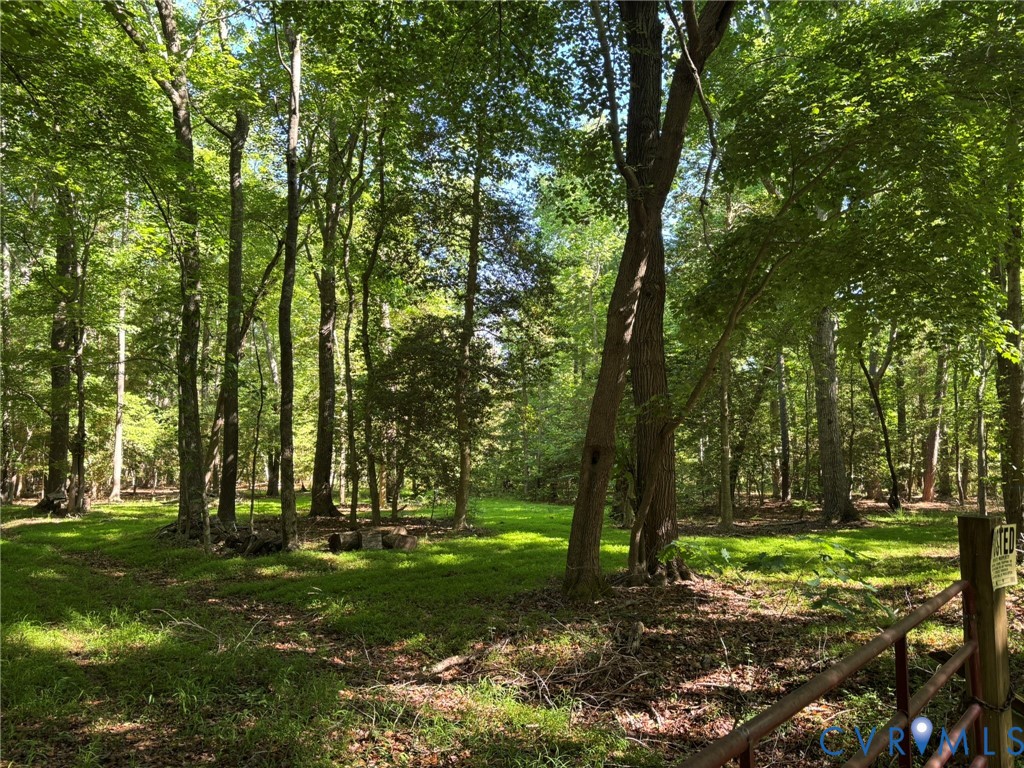 Vir-mar Vir-Mar Beach Road Heathsville, VA 22473 - Photo 6 of 10 Area leading to probable homesite where fallen tre