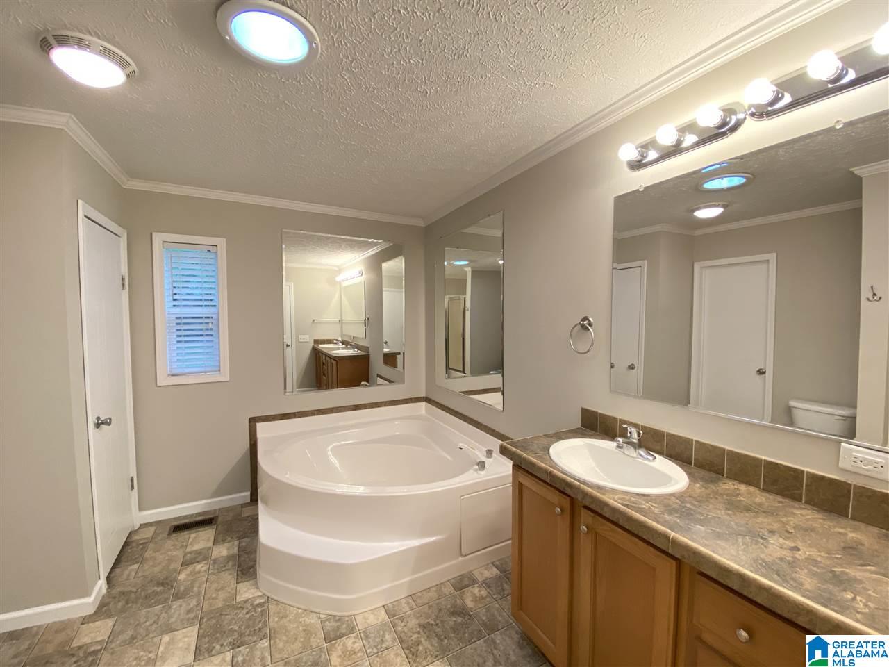 375 Old Springville Road Odenville, AL 35120 - Photo 36 of 44