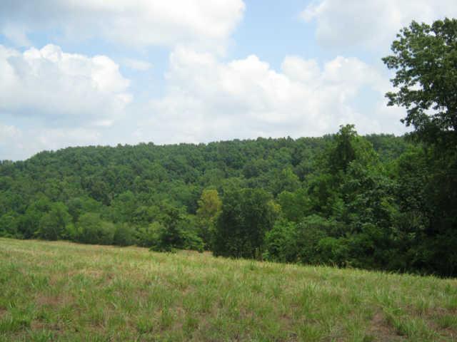 3 Berea Church Road Lebanon, TN 37087 - Photo 3 of 17 a view of a big yard with plants and large trees