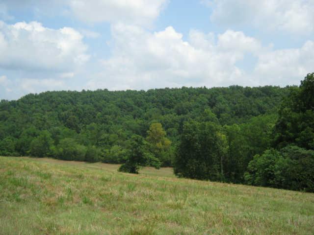 3 Berea Church Road Lebanon, TN 37087 - Photo 4 of 17 a view of a yard