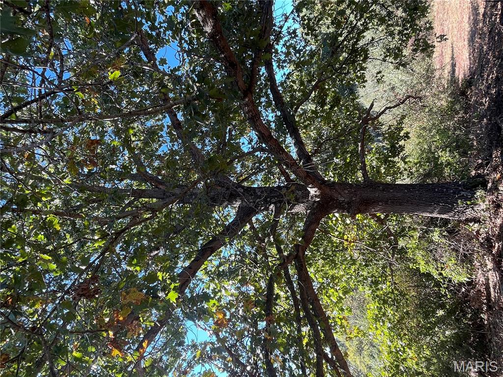 22 Lot 10) Autumn Ridge Drive Elsberry, MO 63343 - Photo 29 of 31