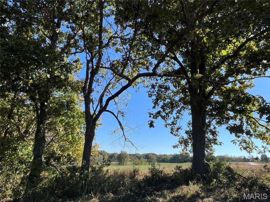 22 Lot 10) Autumn Ridge Drive Elsberry, MO 63343 - Photo 31 of 31