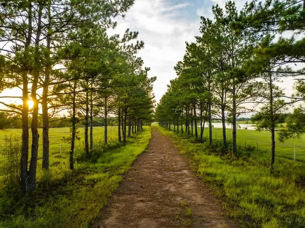 $138,000 | Tbd East Lakeland Court, Hillister, TX 77624