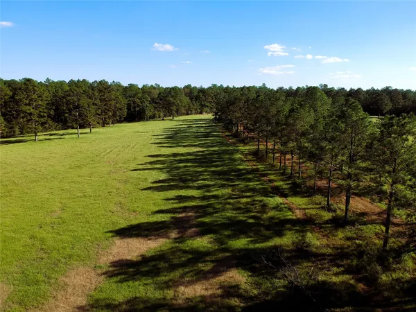 $138,000 | Tbd East Lakeland Court, Hillister, TX 77624