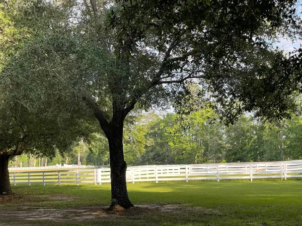 $138,000 | Tbd East Lakeland Court, Hillister, TX 77624