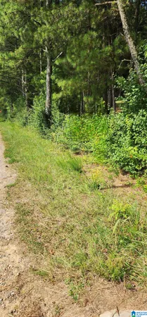 $312,000 | Lot 0 Hicks Road, Oneonta, AL 35121