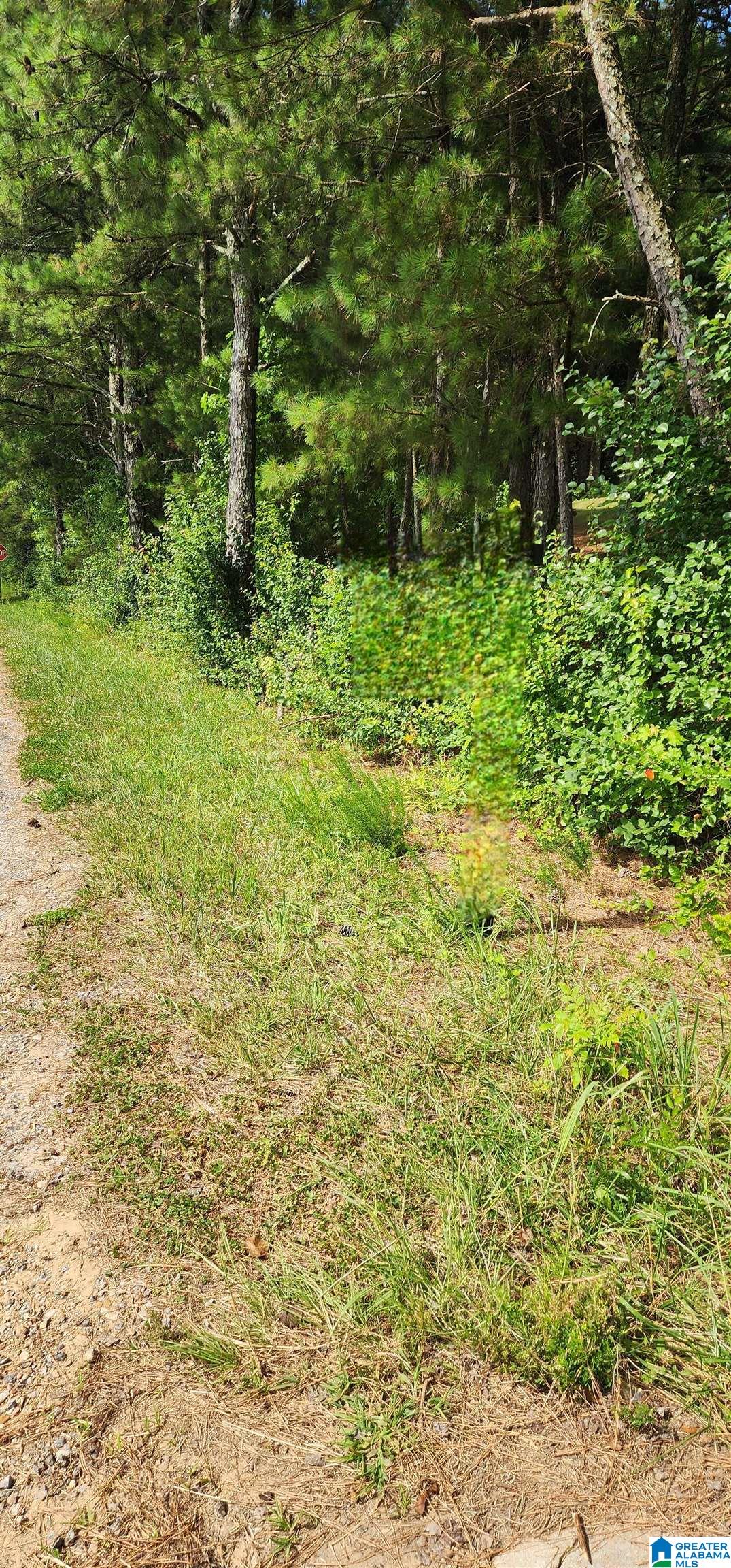 Lot 0 Hicks Road Oneonta, AL 35121 - Photo 1 of 1