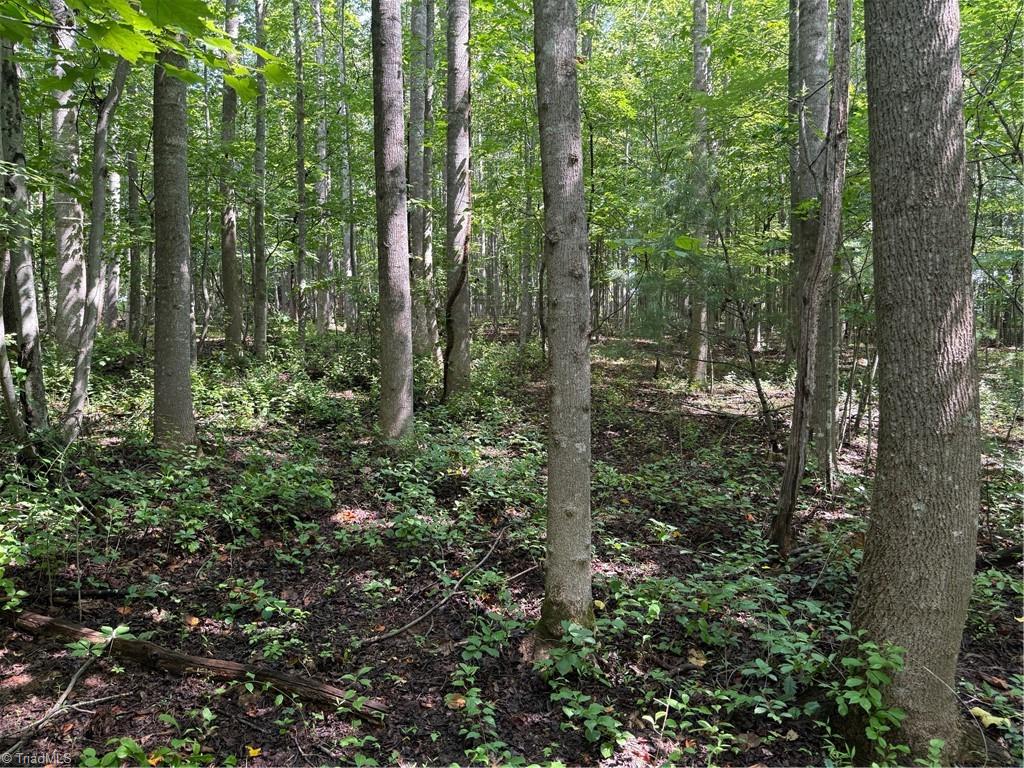 Lot 22 Austin Traphill Road Traphill, NC 28685 - Photo 4 of 8