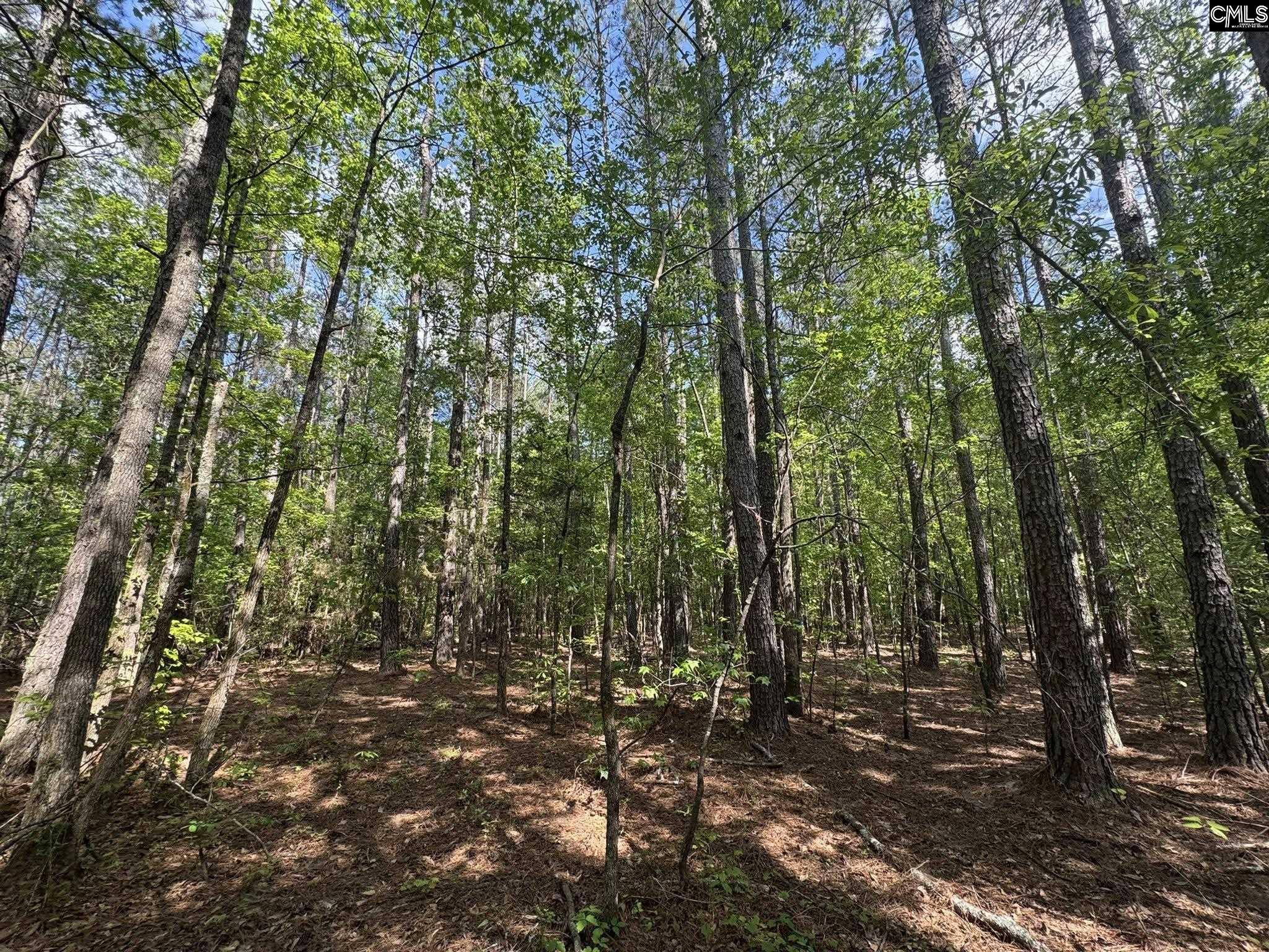 76 West W Highway Honea Path, SC 29654 - Photo 25 of 35