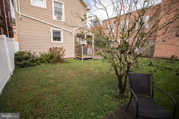 a view of a backyard with plants and a tree