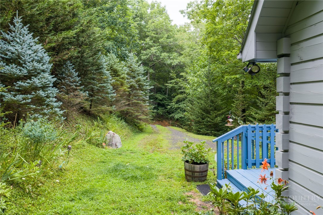 263 Jeb Hull Ridge Road Todd, NC 28684 - Photo 36 of 38