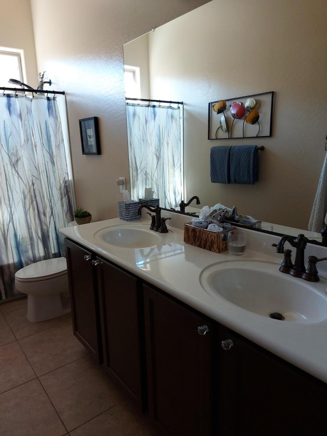 17965 West Verdin Road Goodyear, AZ 85338 - Photo 10 of 22 Photo #10