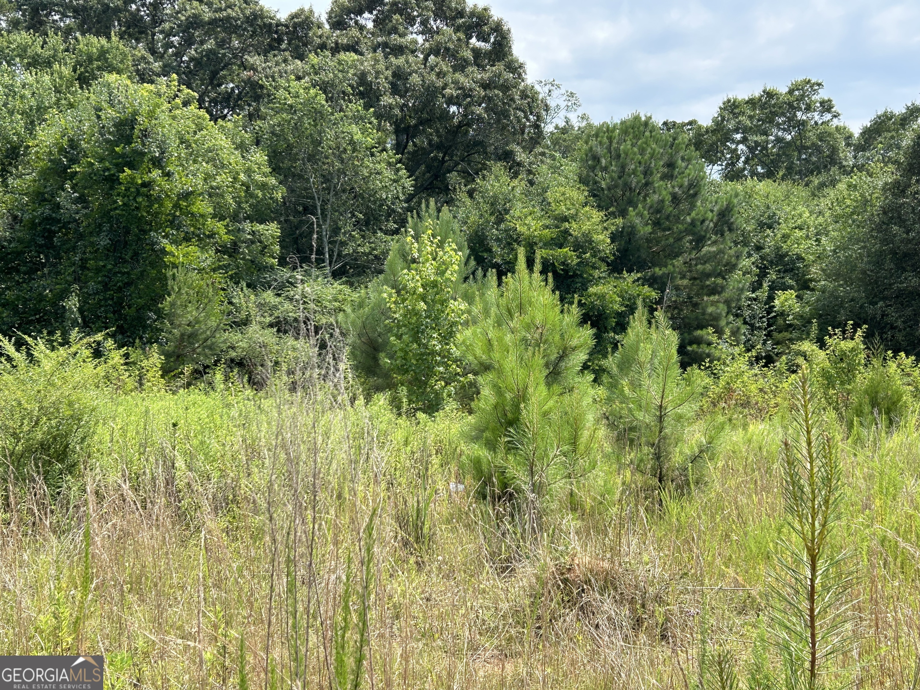 402 Old Mt Hebron Road Hartwell, GA 30643 - Photo 1 of 1 Gallery Image 1