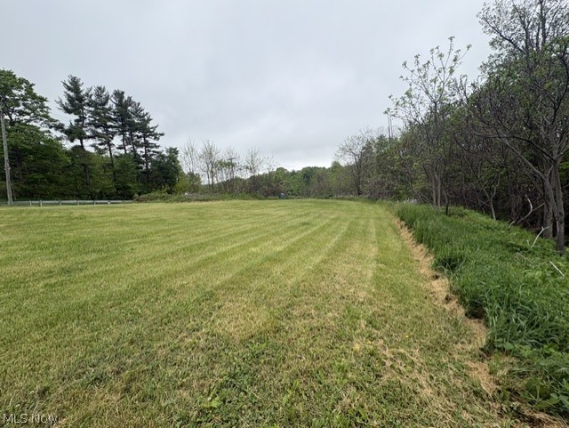 152 State Route Dillonvale, OH 43917 - Photo 4 of 8