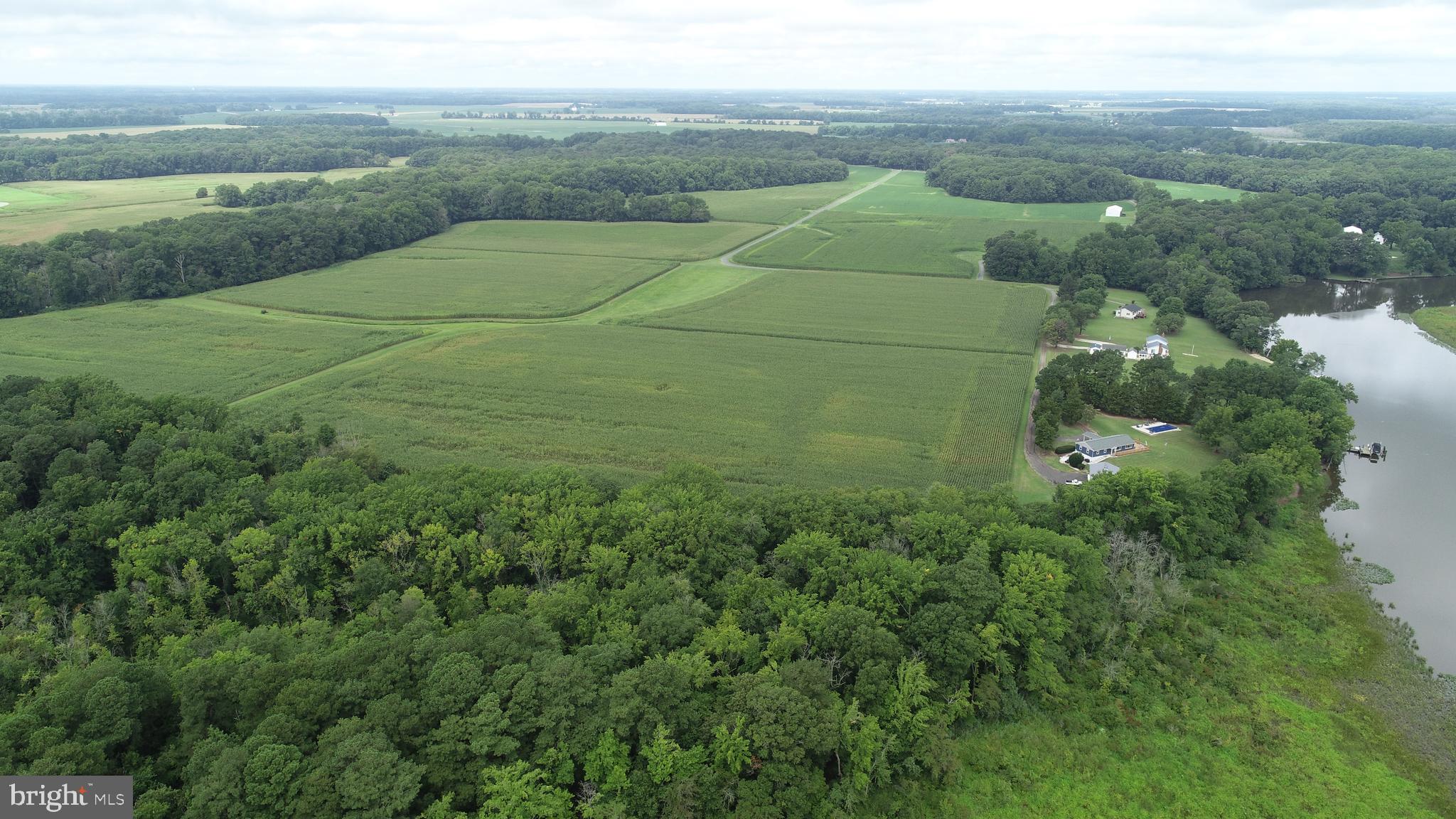 0 Fox Road Easton, MD 21601 - Photo 2 of 3 Productive farm fields