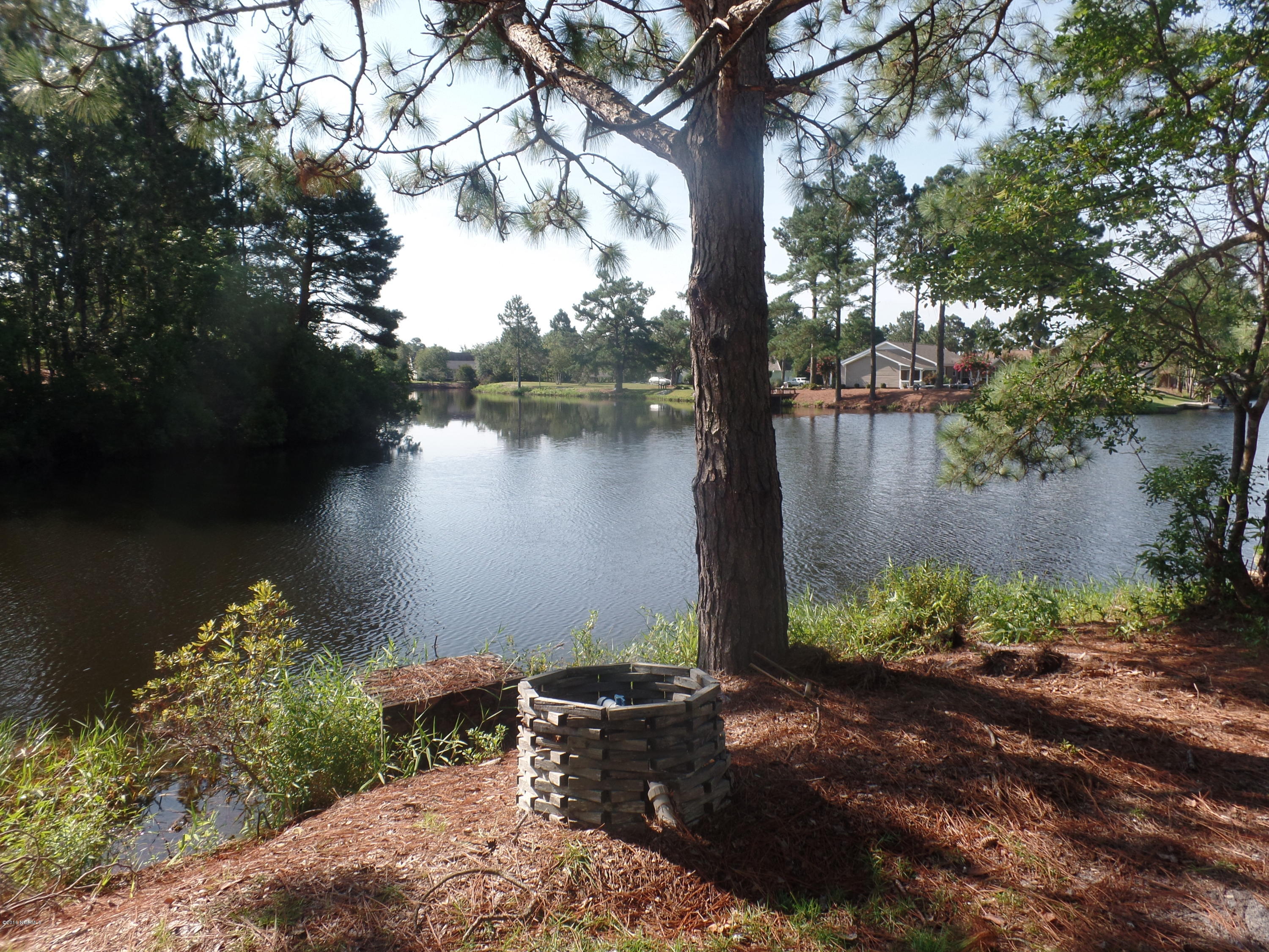 438 Bay Ridge Road Harrells, NC 28444 - Photo 4 of 20 lake view