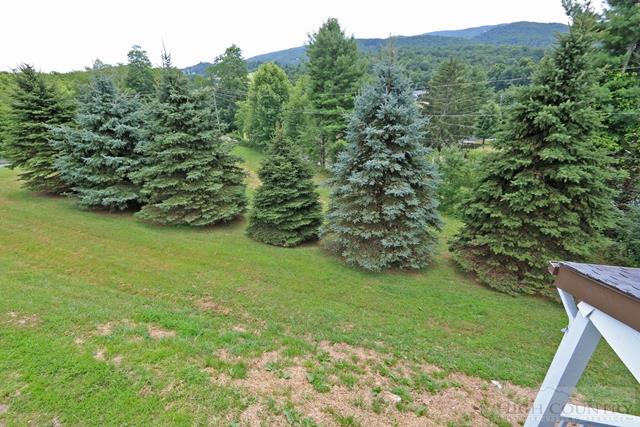 246 Harrison Road Boone, NC 28607 - Photo 29 of 36
