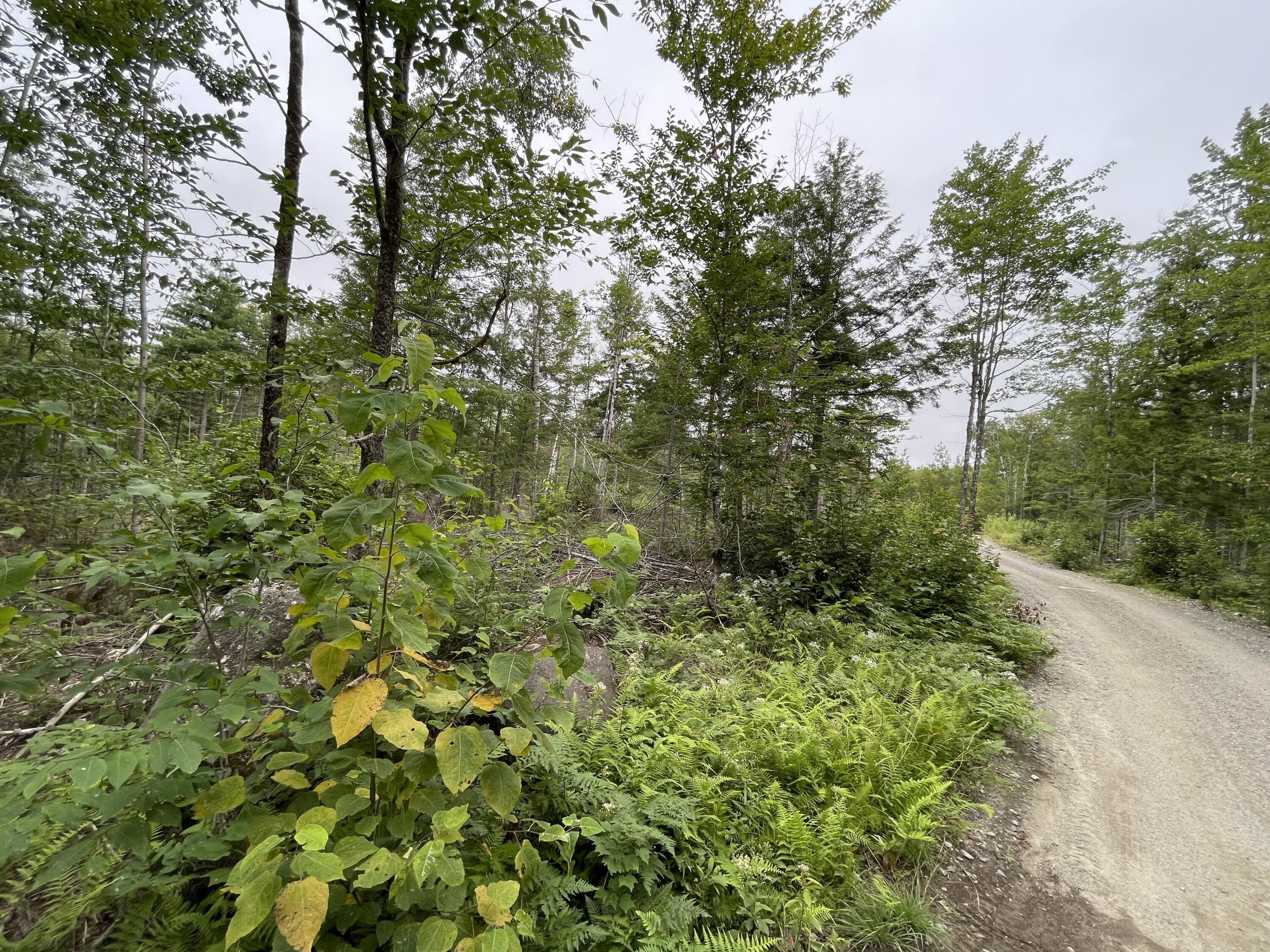 M07-l19d West Madagascal Road Burlington, ME 04417 - Photo 1 of 11 2F398E60-AE52-41A0-8244-7453CD9ABD6F