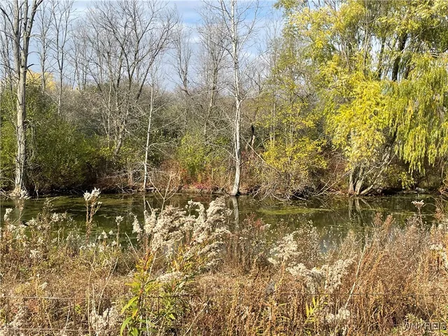 $2,000,000 | 6721 Aiken Road, Pendleton, NY 14094