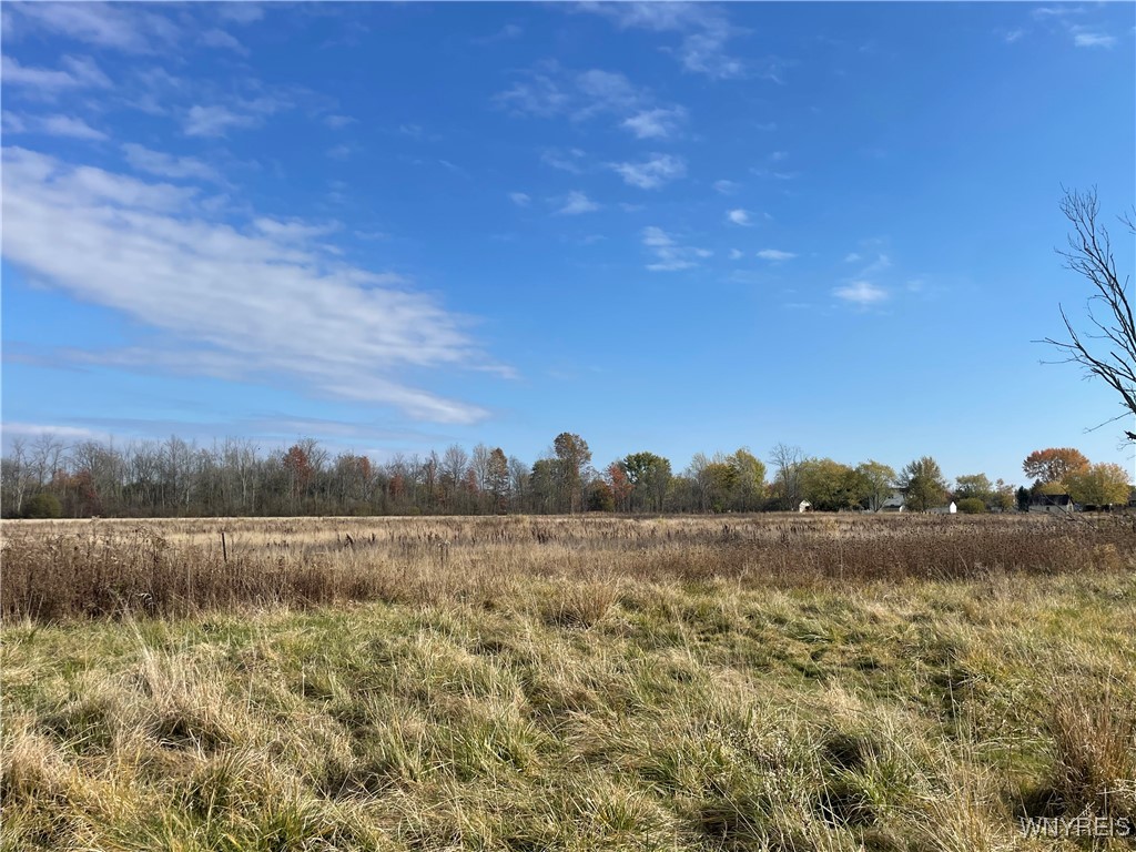 6721 Aiken Road Pendleton, NY 14094 - Photo 21 of 38