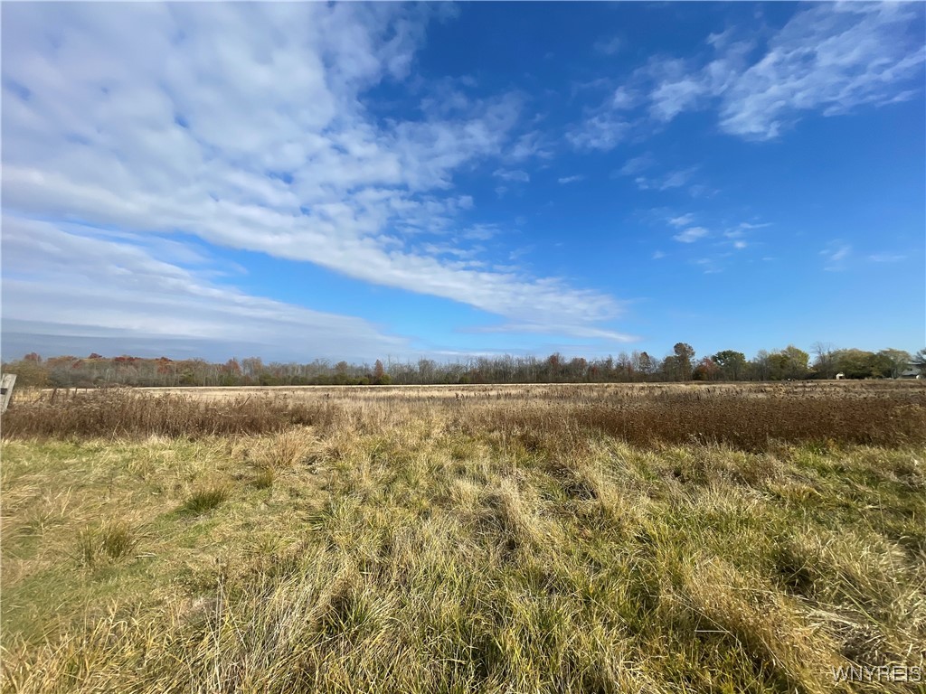 6721 Aiken Road Pendleton, NY 14094 - Photo 25 of 38