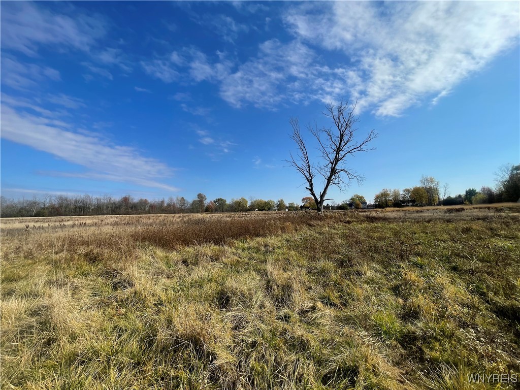 6721 Aiken Road Pendleton, NY 14094 - Photo 26 of 38