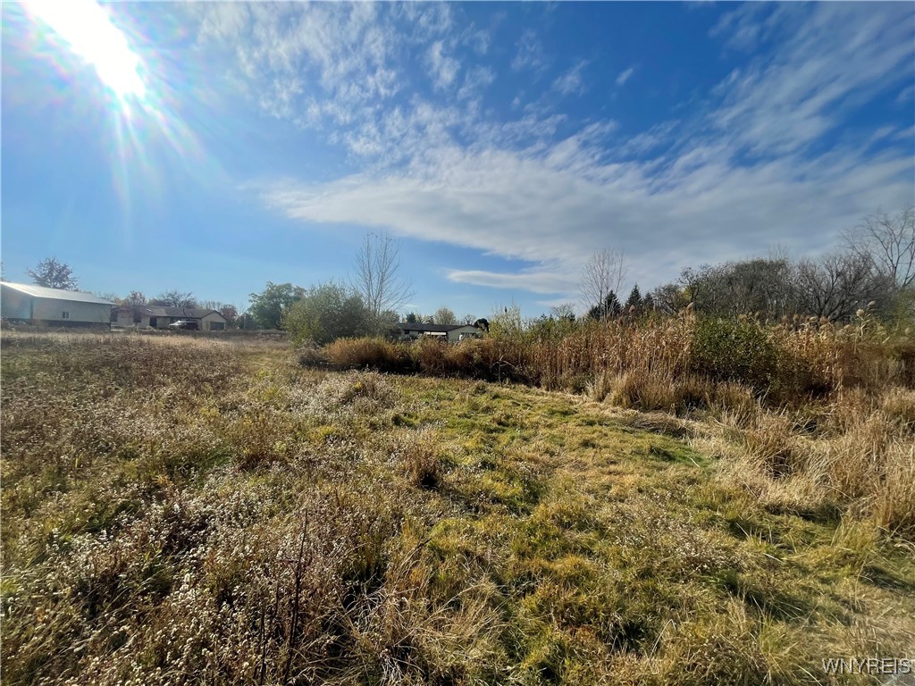 6721 Aiken Road Pendleton, NY 14094 - Photo 27 of 38