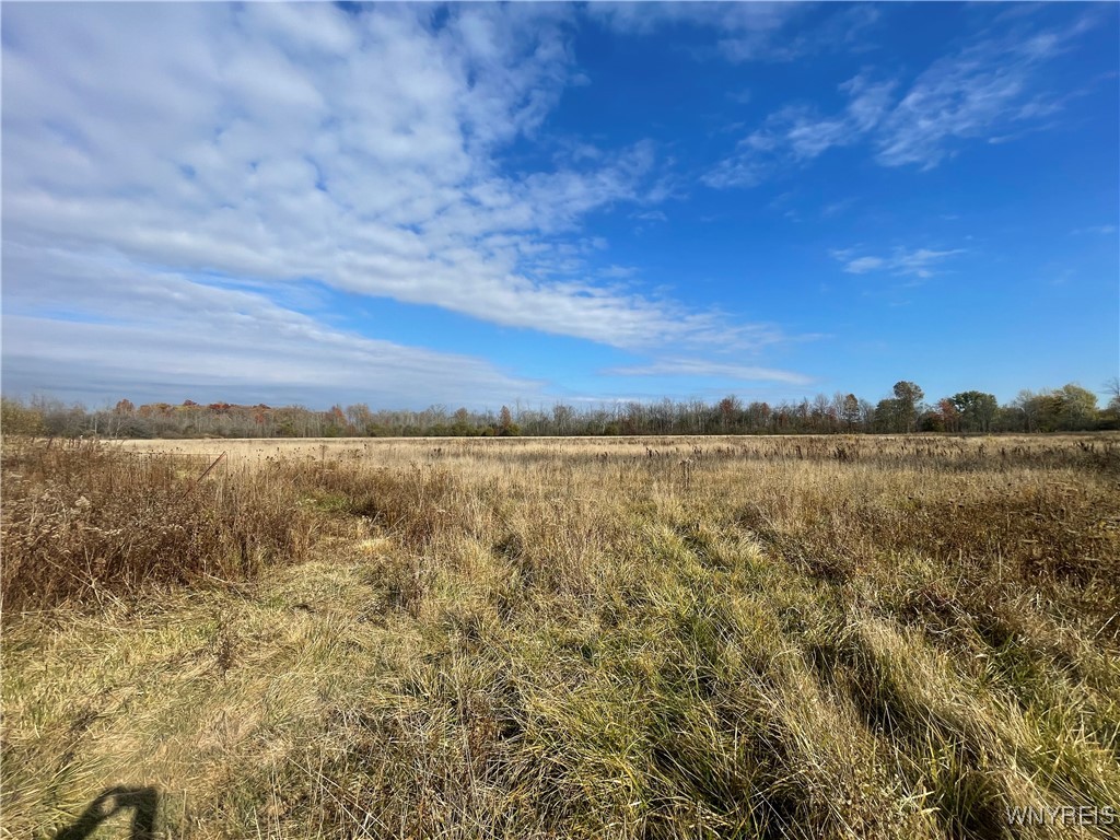 6721 Aiken Road Pendleton, NY 14094 - Photo 28 of 38