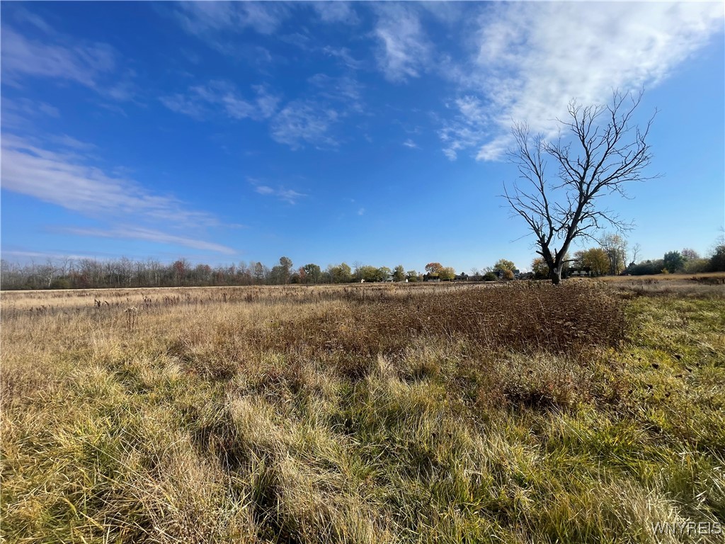 6721 Aiken Road Pendleton, NY 14094 - Photo 29 of 38
