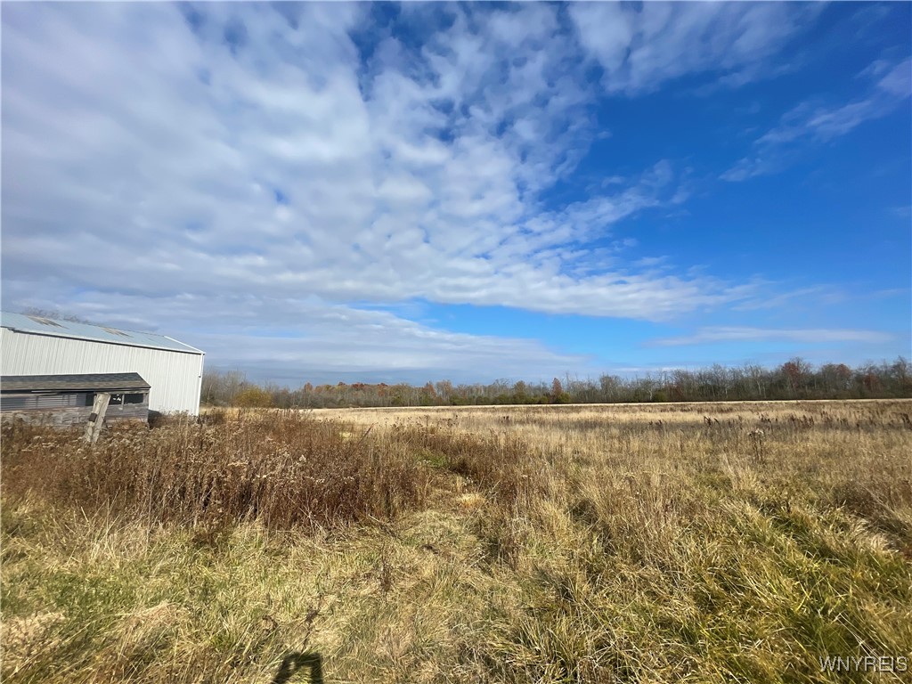 6721 Aiken Road Pendleton, NY 14094 - Photo 30 of 38