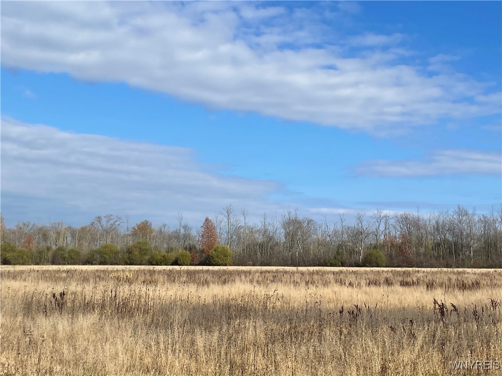 6721 Aiken Road Pendleton, NY 14094 - Photo 32 of 38