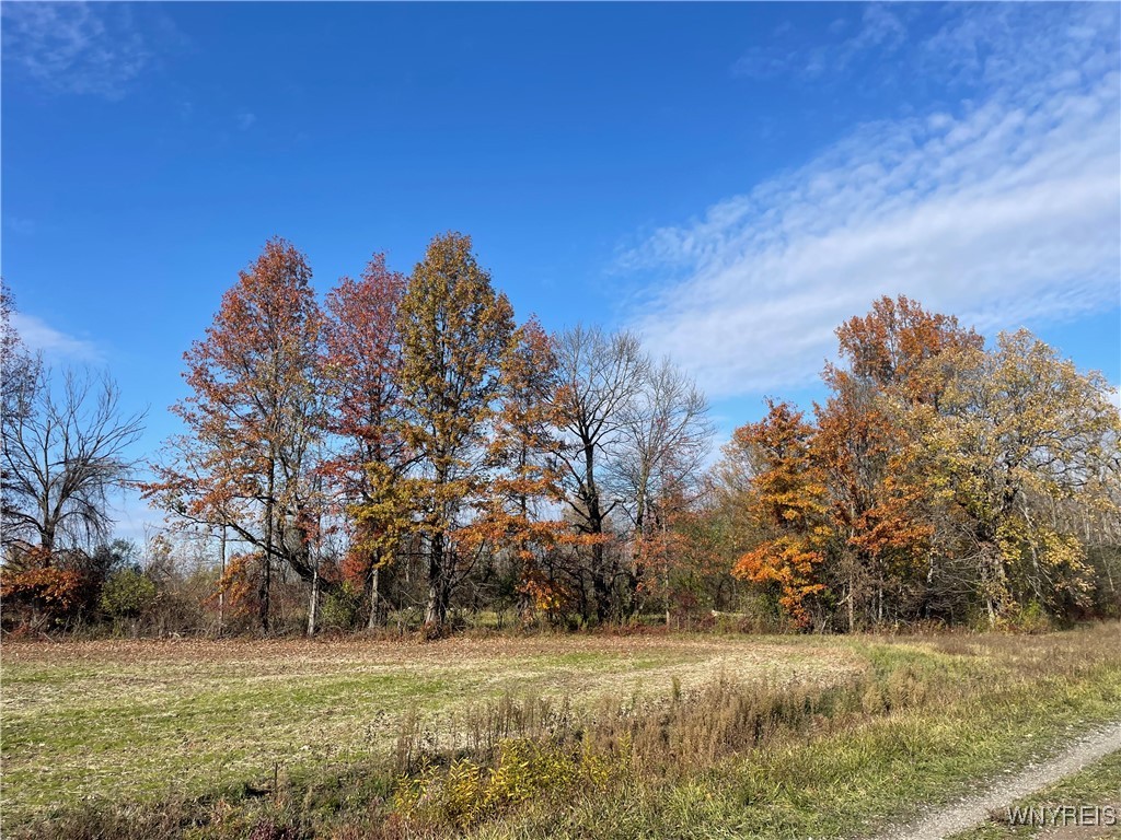 6721 Aiken Road Pendleton, NY 14094 - Photo 38 of 38