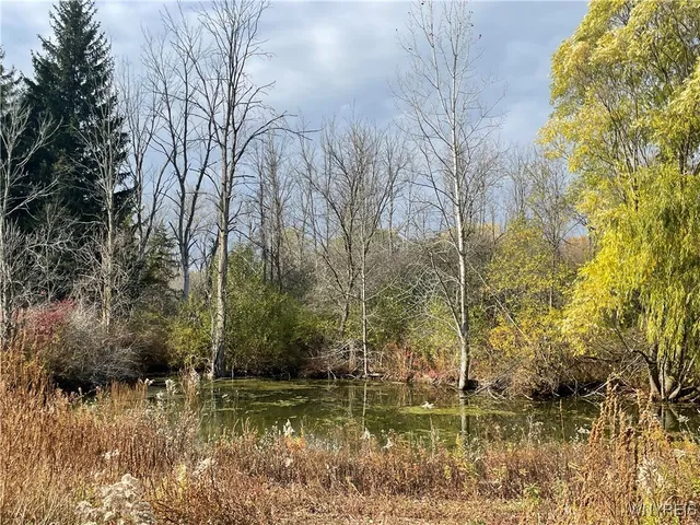 $2,000,000 | 6721 Aiken Road, Pendleton, NY 14094