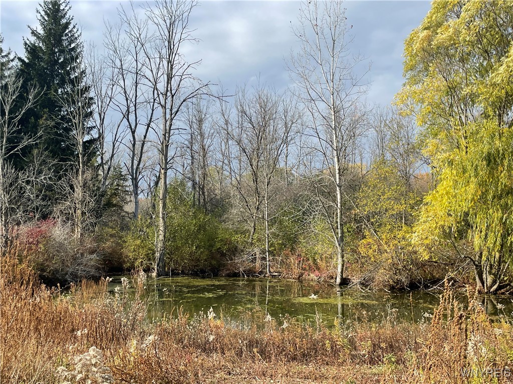 6721 Aiken Road Pendleton, NY 14094 - Photo 10 of 38