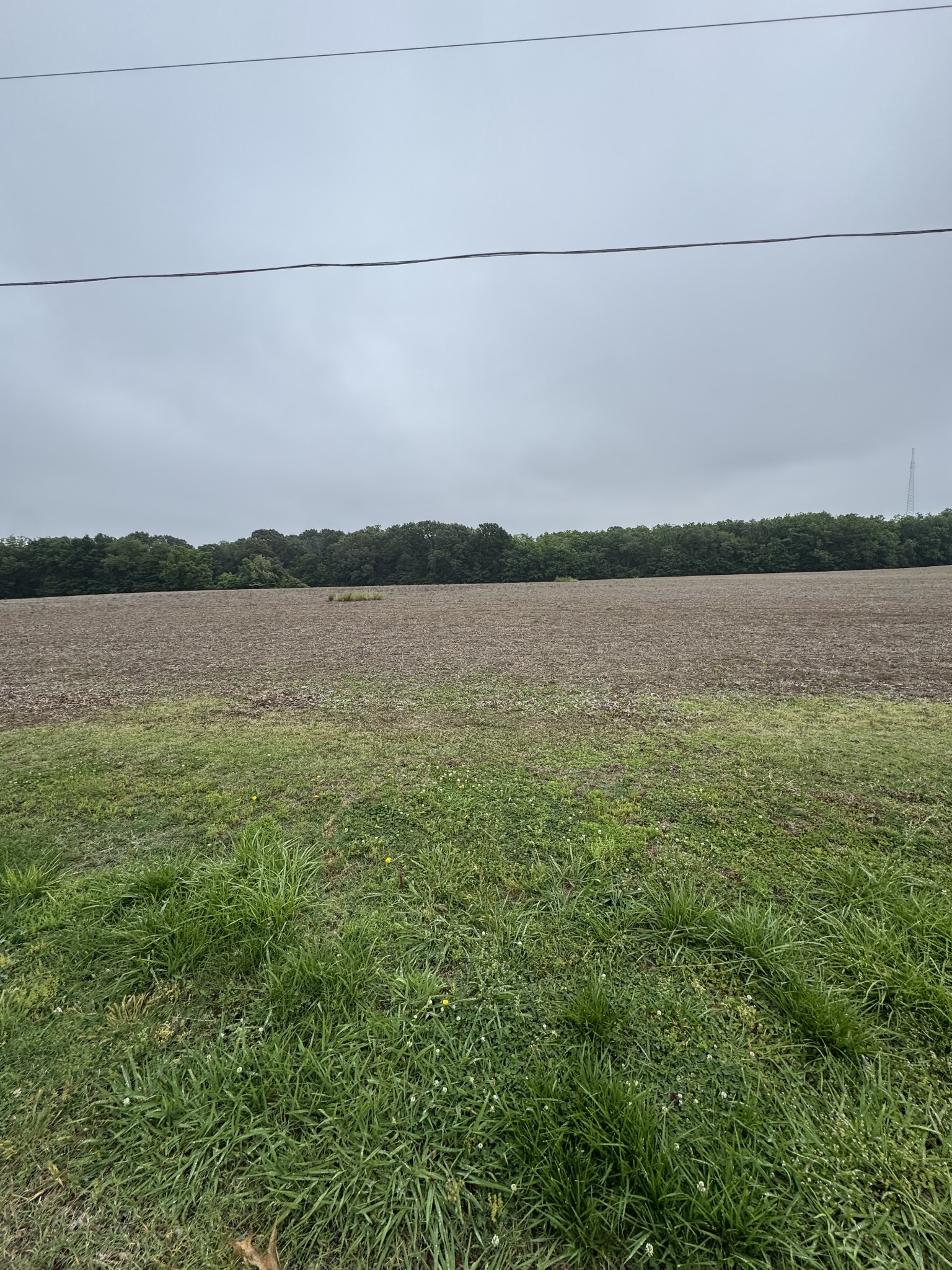 325 Harts Mill Road Atwood, TN 38220 - Photo 10 of 44