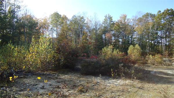 100 N Road Westhampton, MA 01027 - Photo 4 of 6 a backyard of a house
