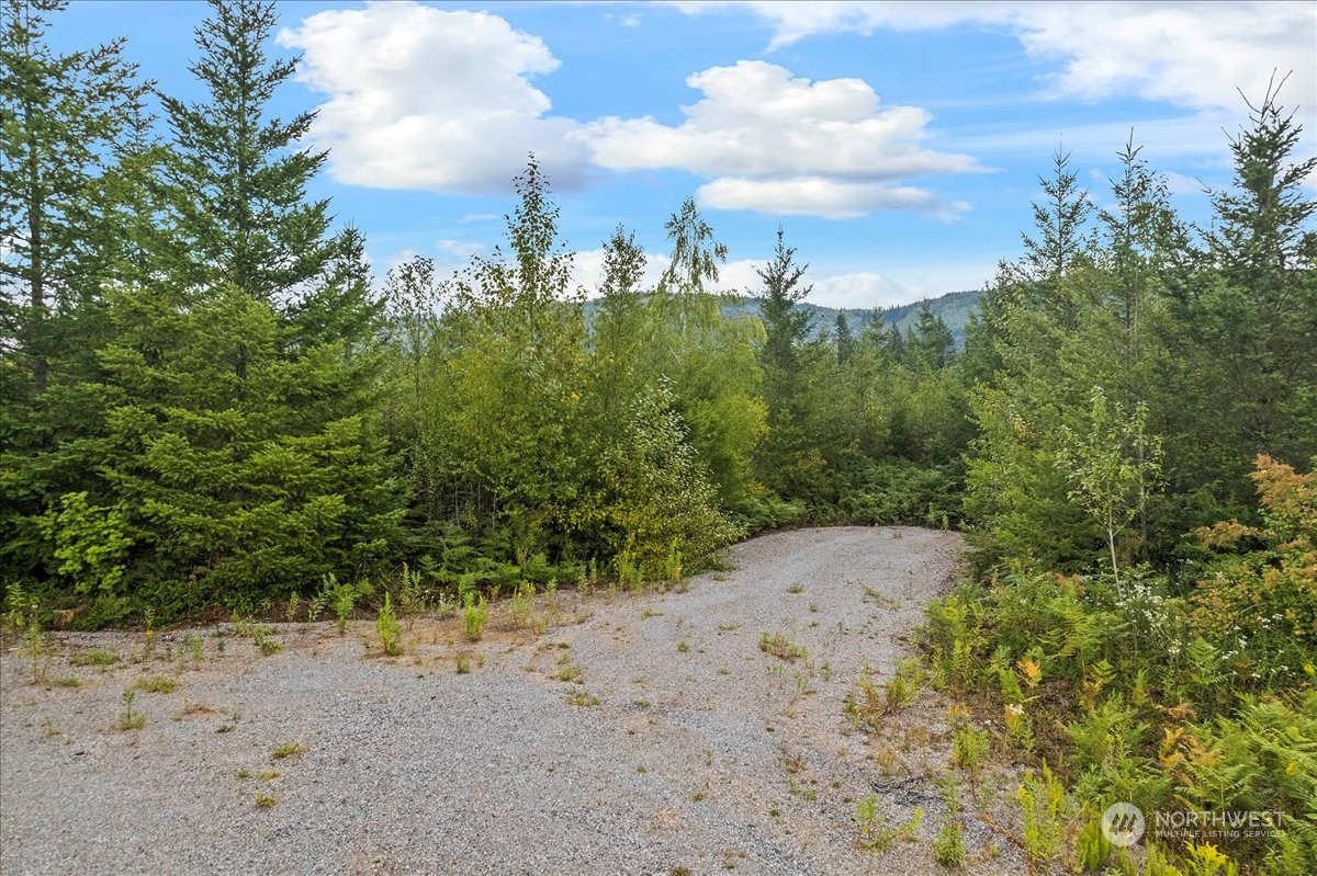 9250 Heady Road Sumas, WA 98295 - Photo 7 of 7 a view of a dry yard with trees