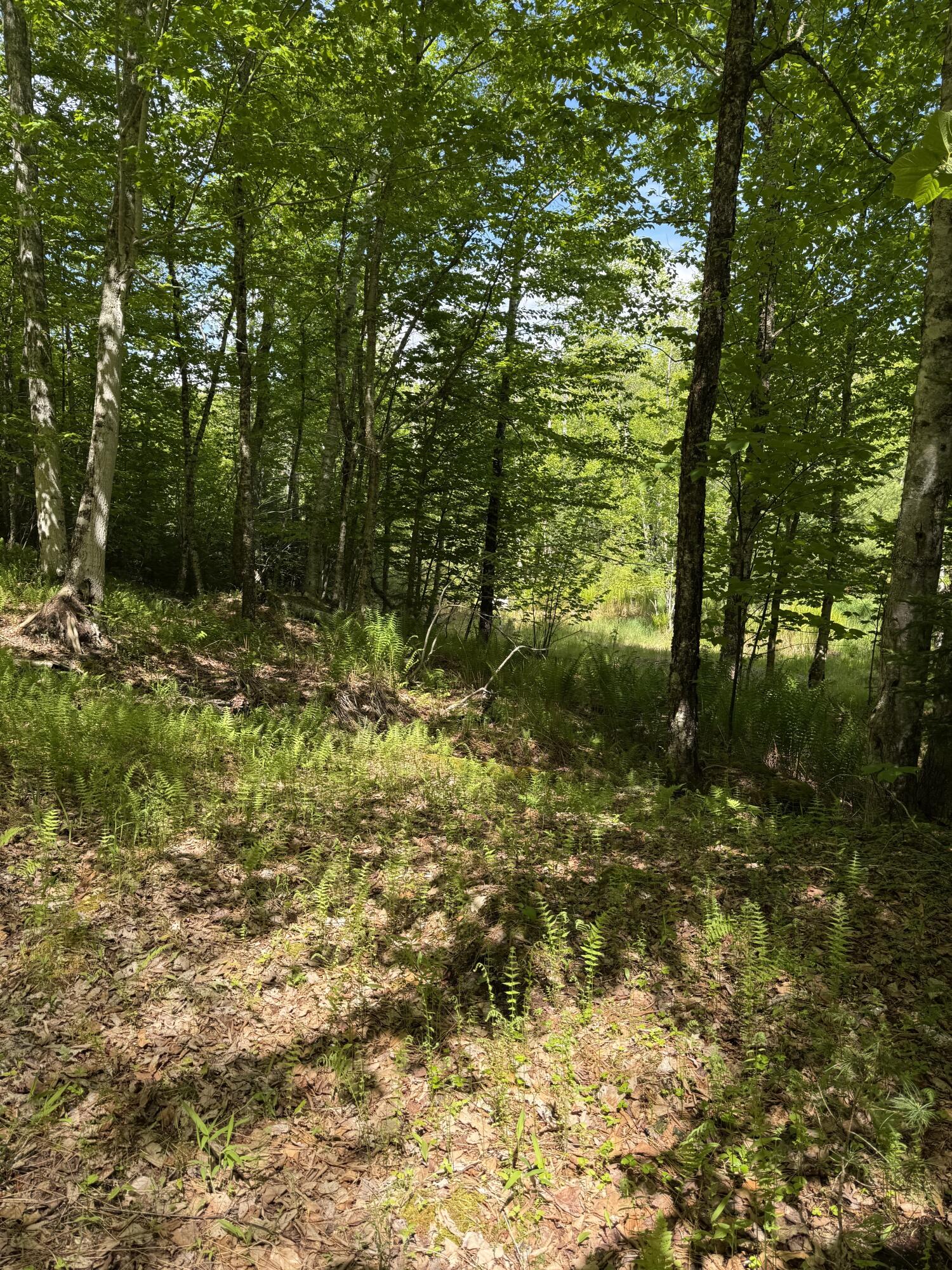 63 Sebasco Road Phippsburg, ME 04562 - Photo 7 of 14 sebasco land 3