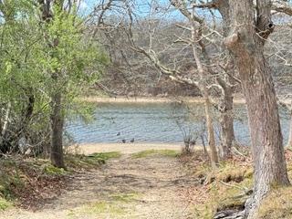 82 Oyster Pond Road Edgartown, MA 02539 - Photo 5 of 53 a view of a dry yard with wooden fence