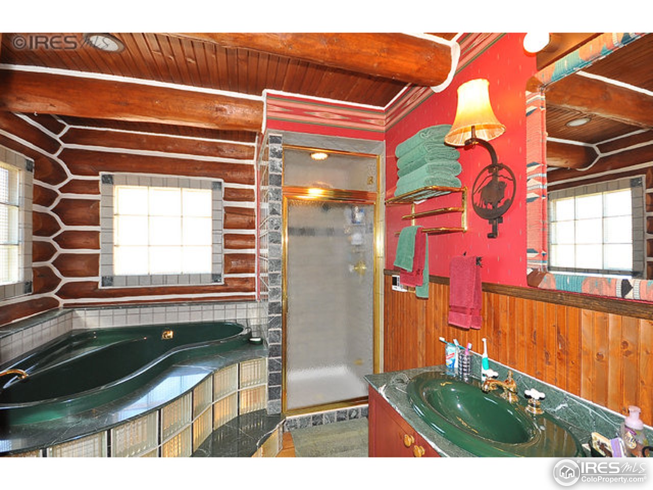 1232 Beartrap Road Red Feather Lakes, CO 80545 - Photo 18 of 25 Master bath with jetted tub & steam shower