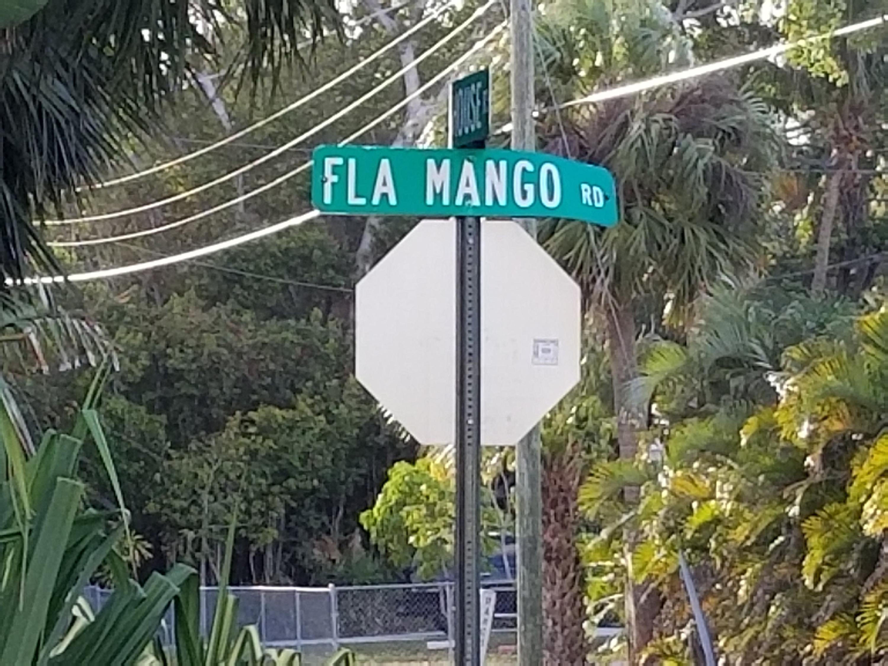 450 Florida Mango Road West Palm Beach, FL 33406 - Photo 8 of 9 LOTE 7