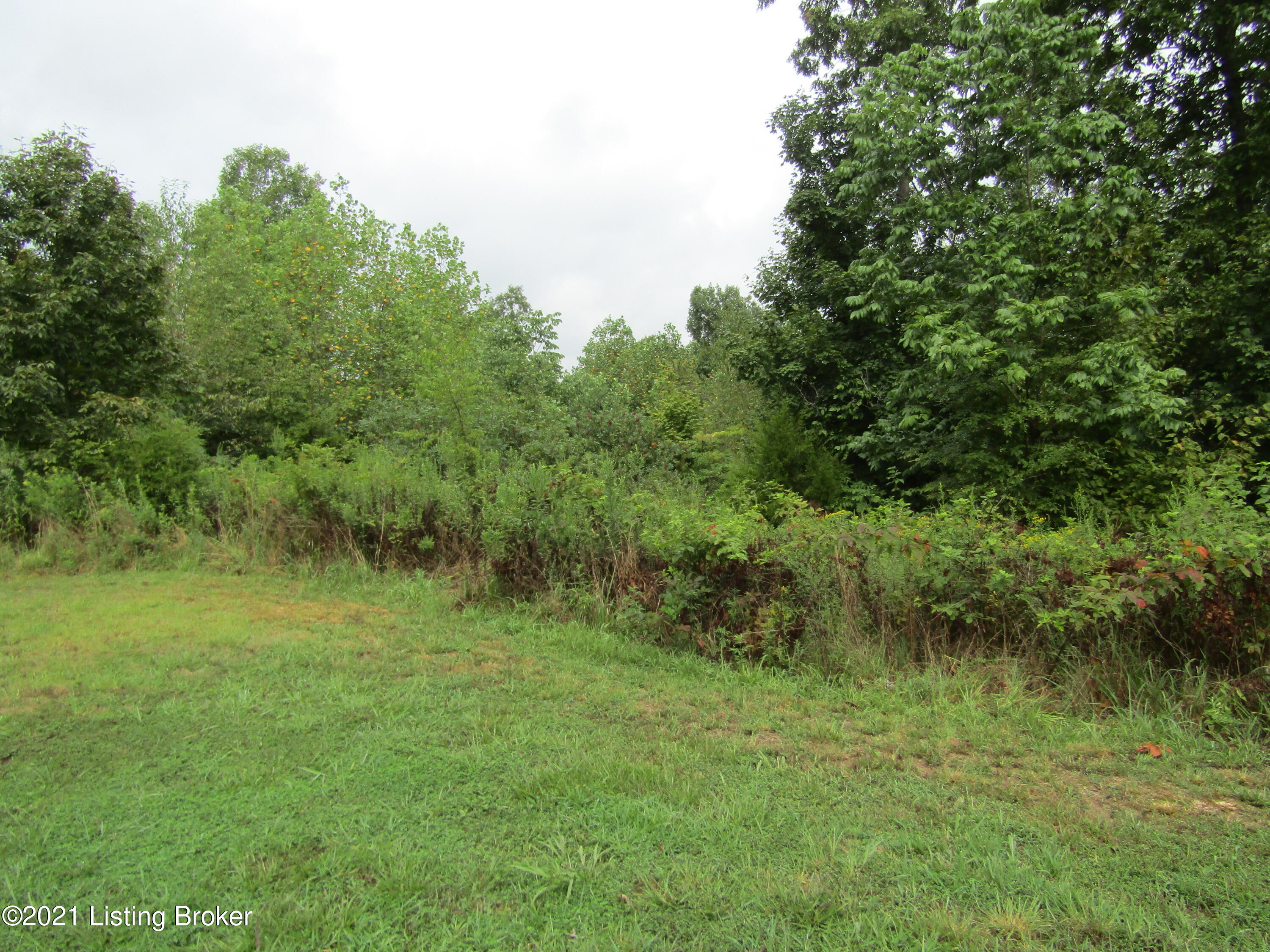 808 Fox Run Road Caneyville, KY 42721 - Photo 34 of 36 IMG_0355