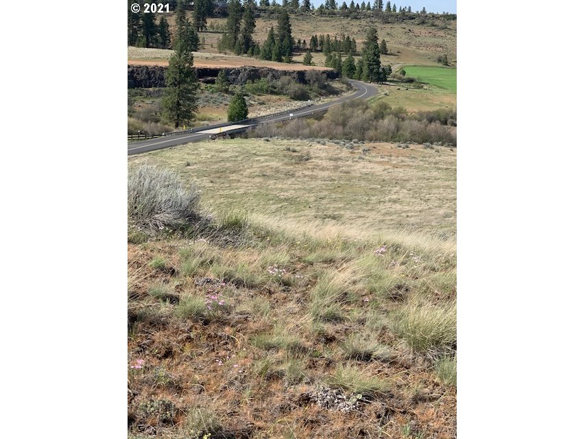 Olson Road, Unit 2 Centerville, WA 98613 - Photo 14 of 18 Gallery Image 14