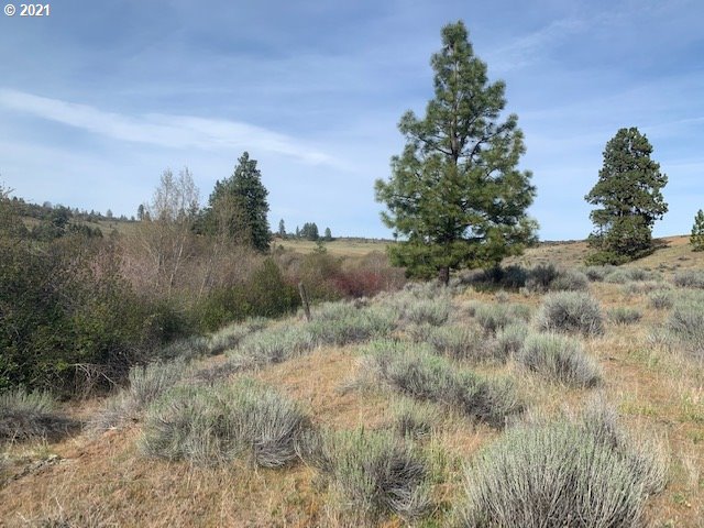 Olson Road, Unit 2 Centerville, WA 98613 - Photo 10 of 18 Gallery Image 10