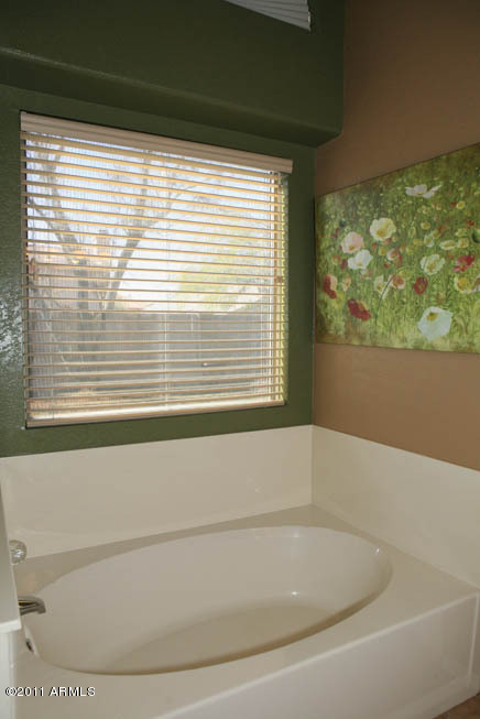 4711 East Weaver Road Phoenix, AZ 85050 - Photo 20 of 24 Master-Tub