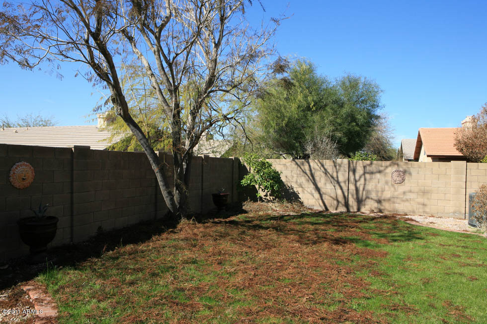 4711 East Weaver Road Phoenix, AZ 85050 - Photo 23 of 24 Backyard