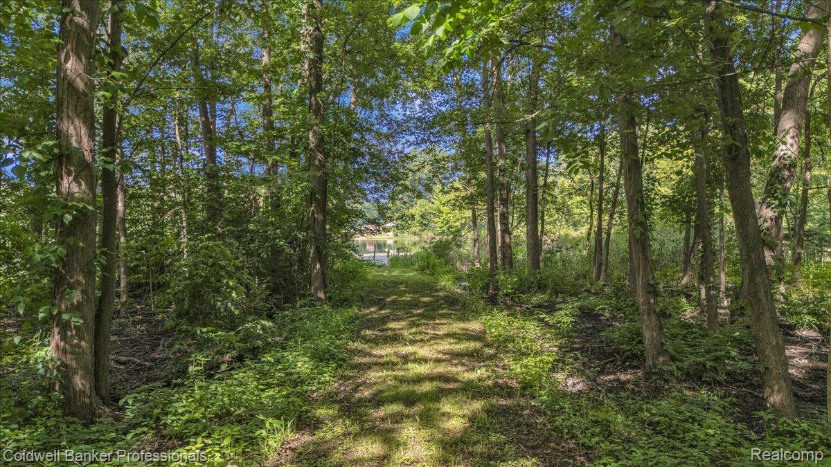 76107 Van Dyke Road Romeo, MI 48065 - Photo 10 of 43 14-DJI_20260608103057_0849_D.jpg