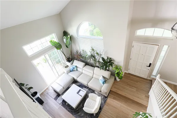 a living room with furniture and a potted plant